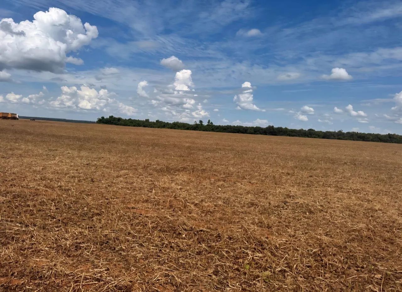 Fazenda de arrendamento 875, hec em nova ubiratã MT.