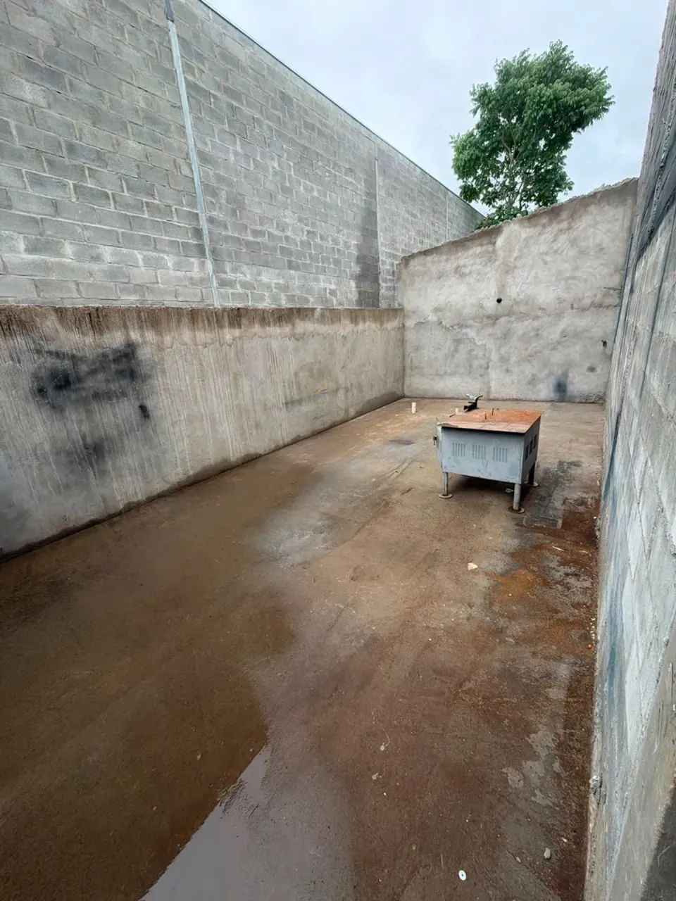 ALUGO BARRACÃO COMERCIAL NO JD. PETRÓPOLIS  VG - Foto 5