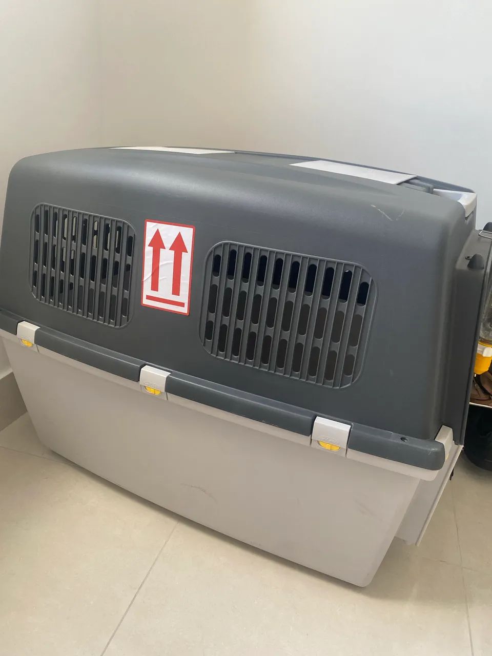 Caixa de Transporte pet 