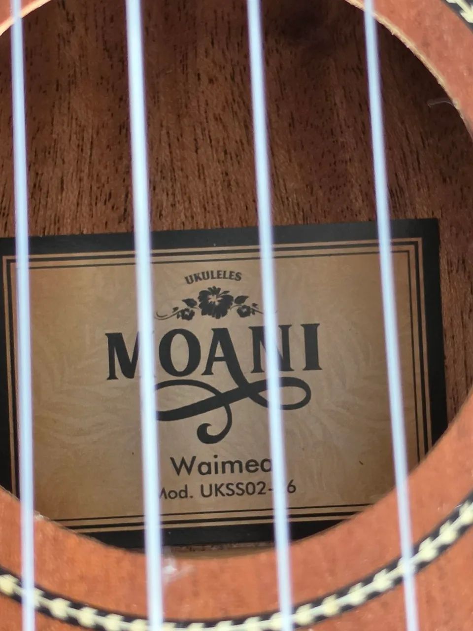 Ukulele - Foto 5