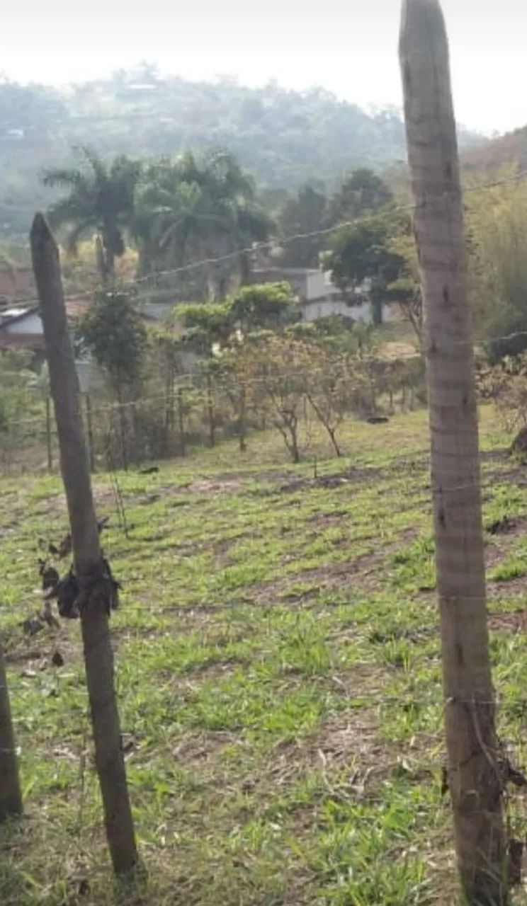 Vendo granja em Dias Tavares  - Foto 4