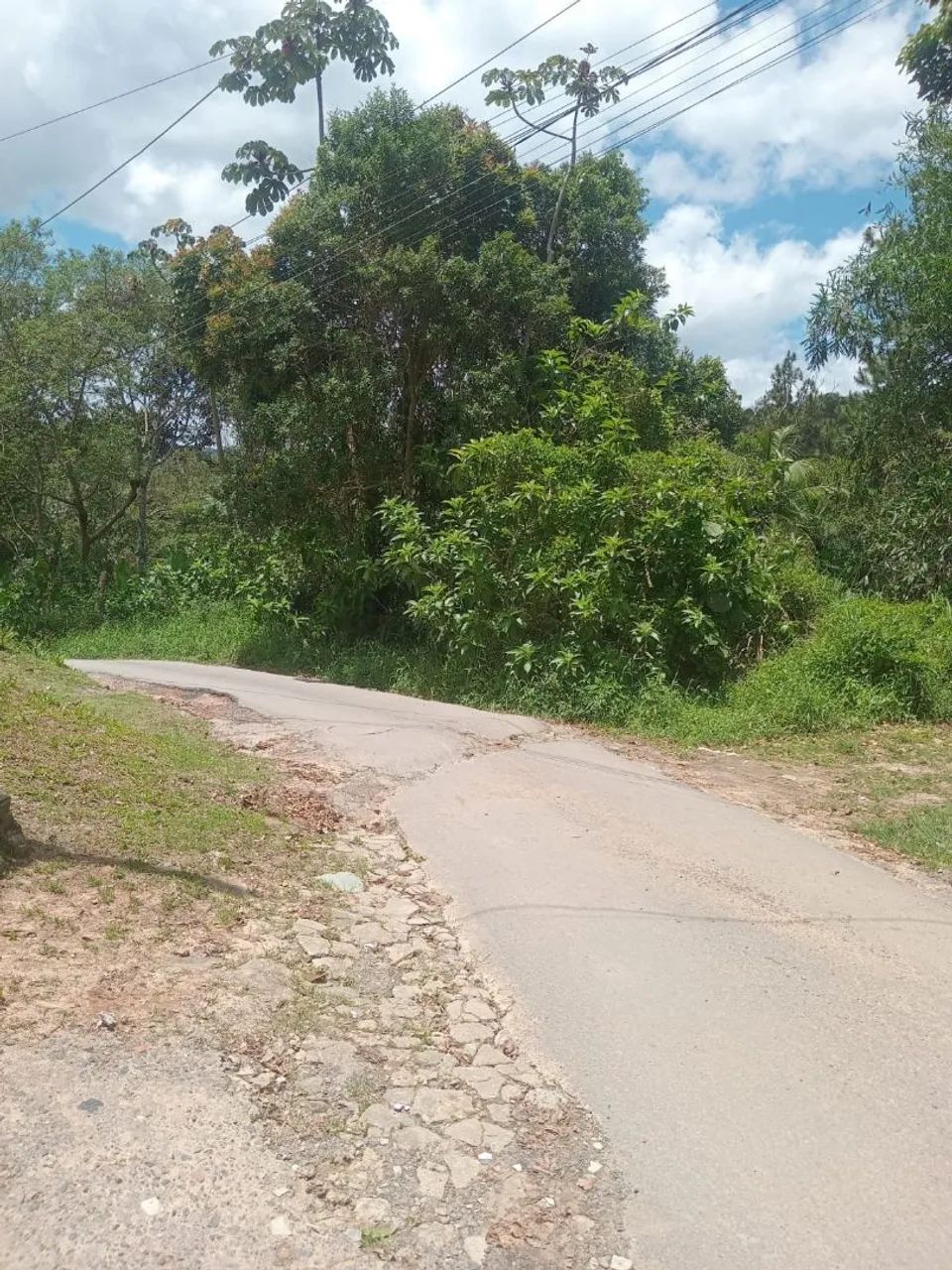 Foto - Juquitiba - 