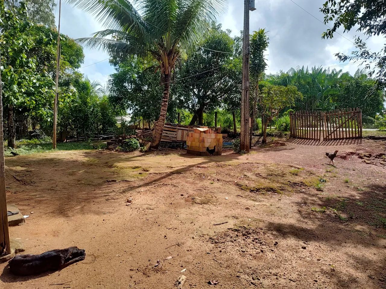 Vendo ou troco chácara na beira do rio mucajaí  - Foto 4