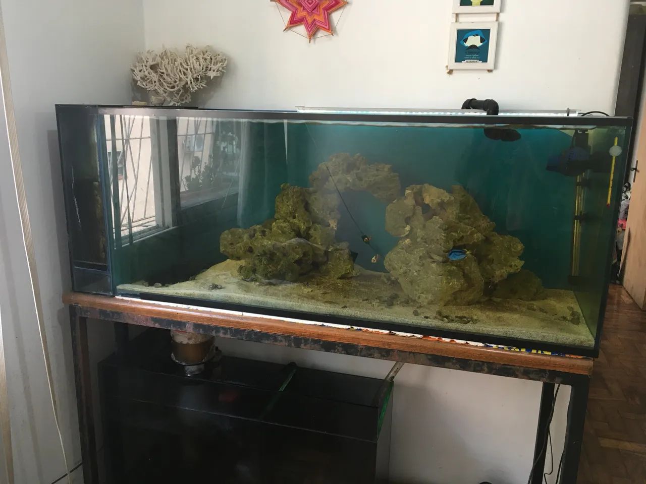 Aquário Marinho Completo 300L + Sump + Móvel + Equipamentos