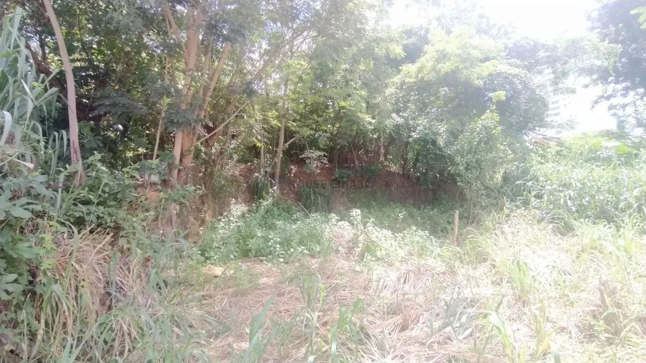 Terreno Bem Localizado no Bairro Quilombo - Foto 2