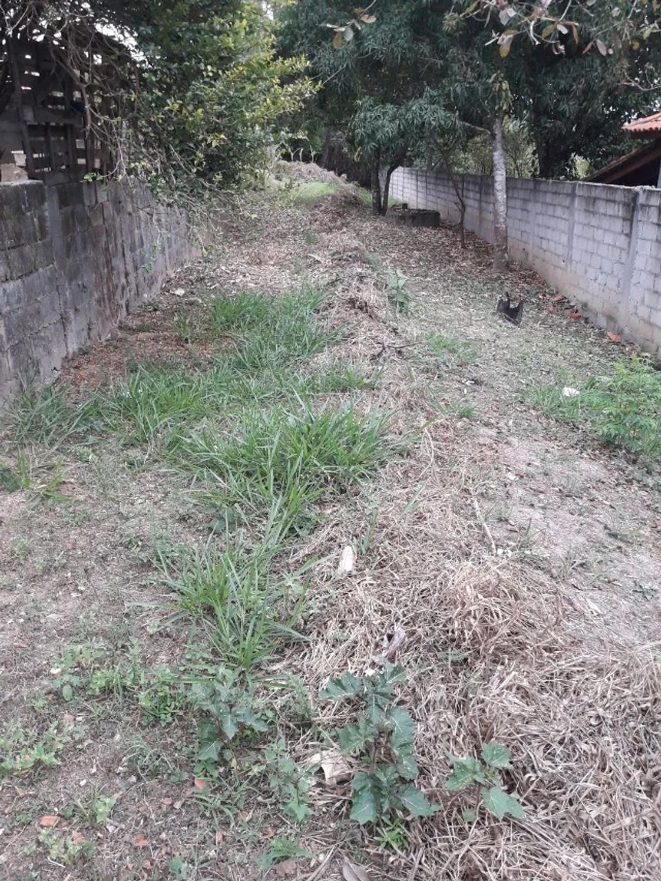 Terreno Bairrinho - Foto 3