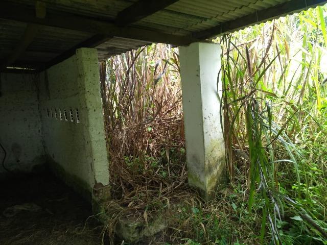 Chacara - Foto 15