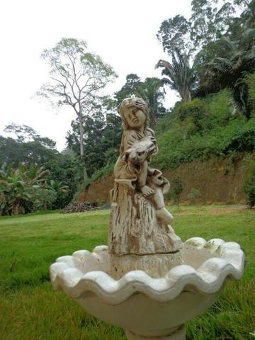 Sitio em Marechal Floriano - Foto 2