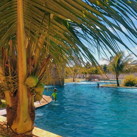 Pipa Paradise - Foto 16