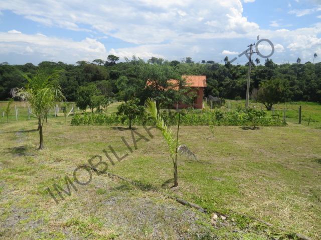 REF 240 Chácara 6000 m², açude com peixes, mata nativa, excelente casa, Imobiliária Paletó - Foto 19