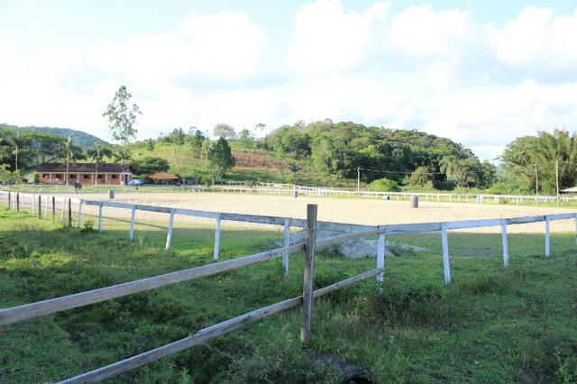 Lindo Sitio em Camboriú - Foto 17