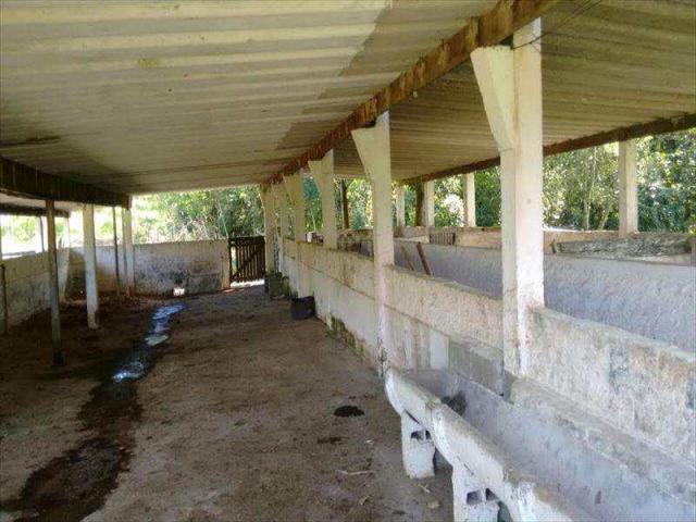 Sítio para alugar em Centro de ouro fino paulista, Ribeirão pires cod:9898 - Foto 17