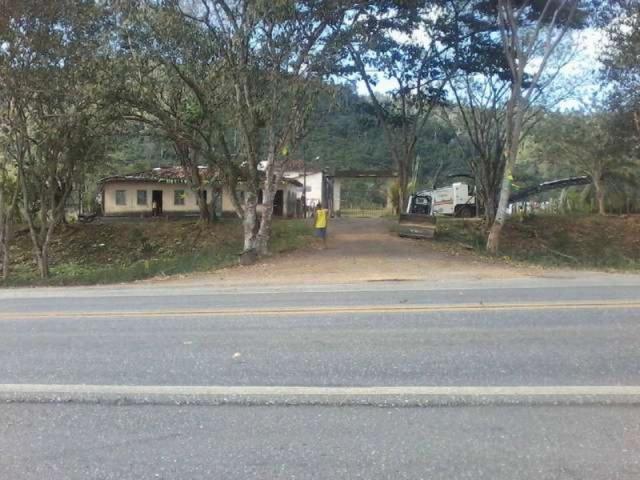 Fazenda de cacau no sul da bahia. mascote - camacã - itabuna - Foto 16