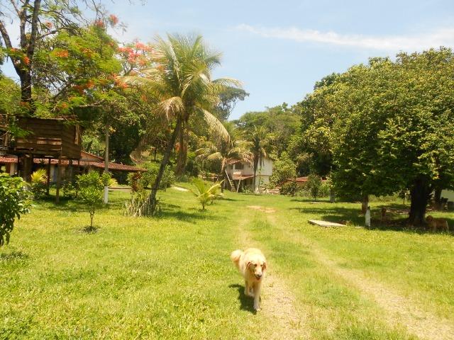 Jordão corretores - Sítio para moradia, lazer e criação em Agrobrasil - Foto 8