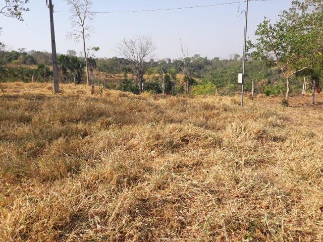 Chácara de 54 hectares, chapada,sendo 33 formado - Foto 9