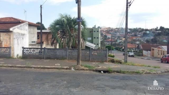 Terreno para alugar em Uvaranas, Ponta grossa cod:2016/2503 - Foto 6