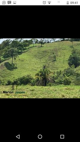 Fazenda em Americano do Brasil-Go! - Foto 19