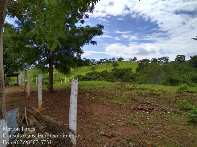 Fazenda em Americano do Brasil-Go! - Foto 5