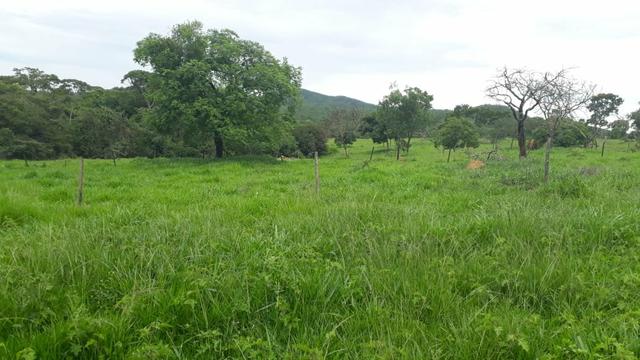 Chácaras de 20 mil mt a venda com escritura individual - Foto 4
