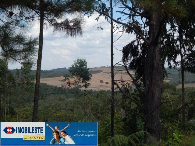 Terreno à venda em Lustosa arroio grande, Ipiranga cod:10330.1860 - Foto 2