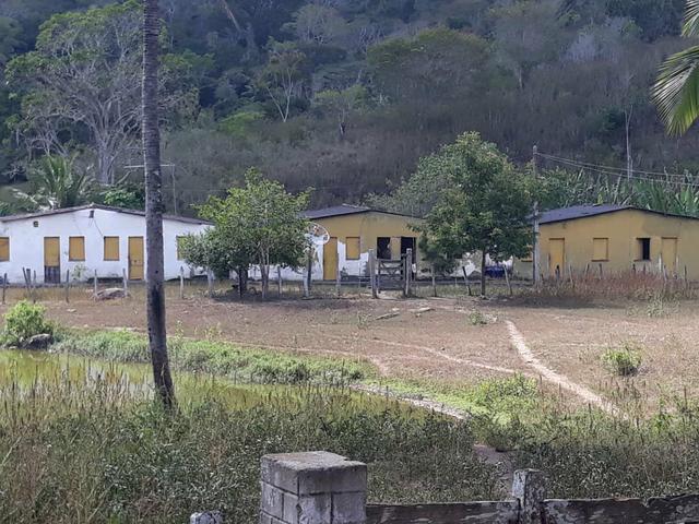 Fazenda Almadina - Foto 5