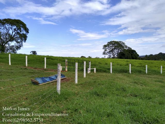 Fazenda em Americano do Brasil! - Foto 10