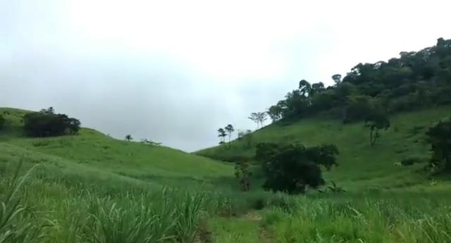 Propriedade de 140 hectares, entre Vitória e Escada-PE. - Foto 6