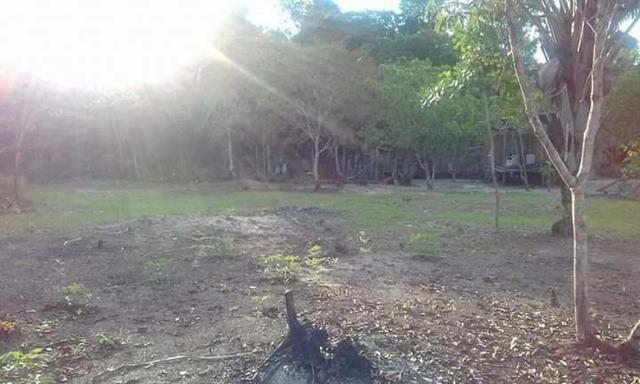 Lindo Terreno 50×100 - Foto 4