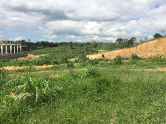 Terrenos na Br 101 em Itabuna - ba - Foto 3