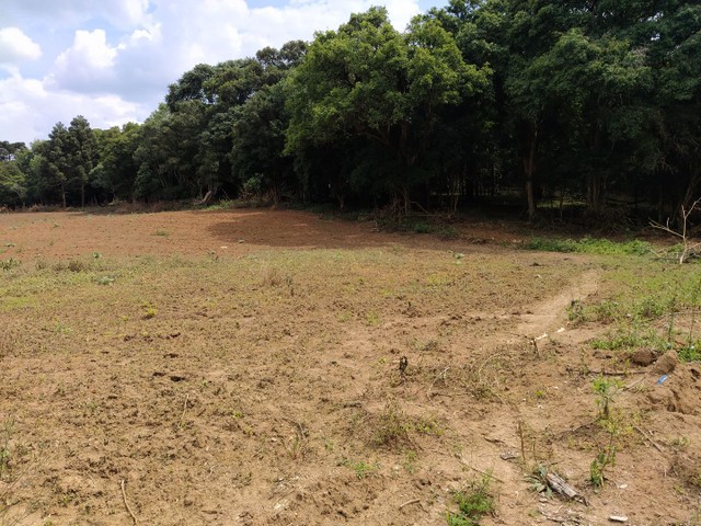 Sitio estrada doce fino