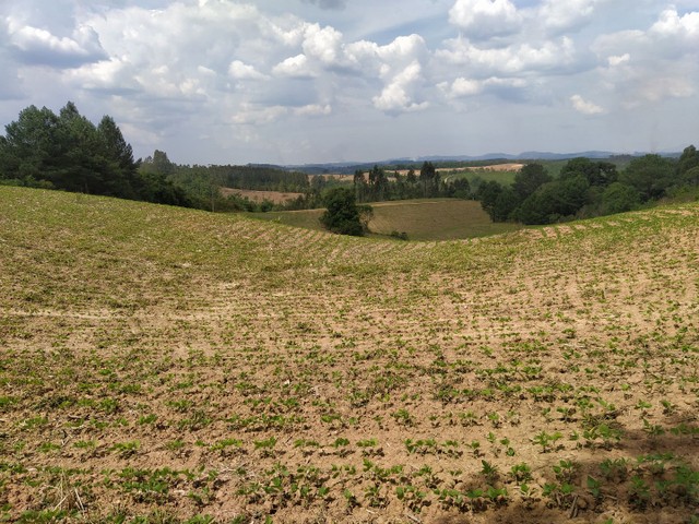 Sitio estrada doce fino - Foto 4