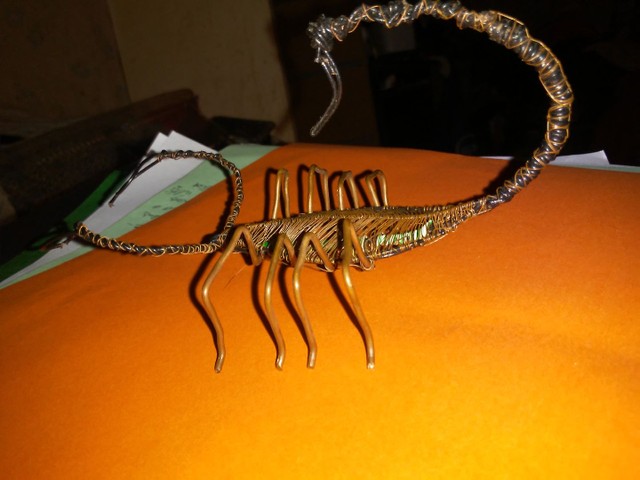 Escorpião em miniatura. - Foto 6