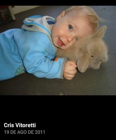 mini coelho -  venda e locação para pascoa  - Foto 4