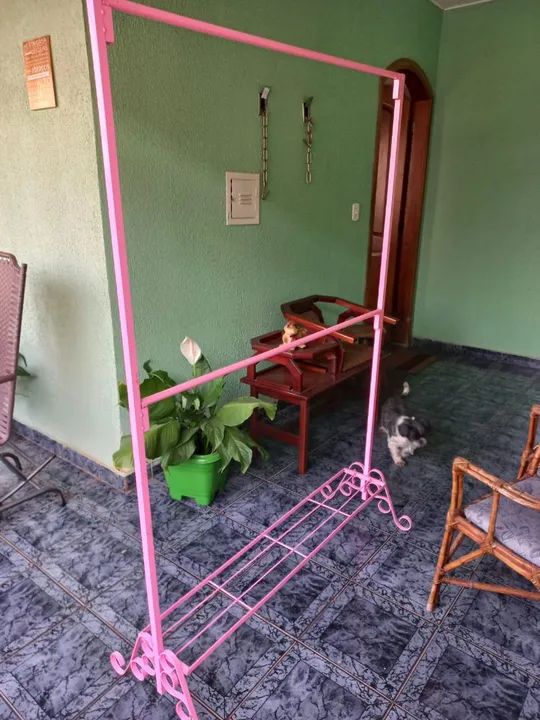 Arara rosa  - Foto 3