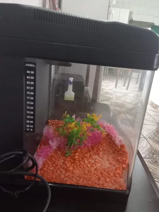 Aquário Decorativo BOYU - Foto 4