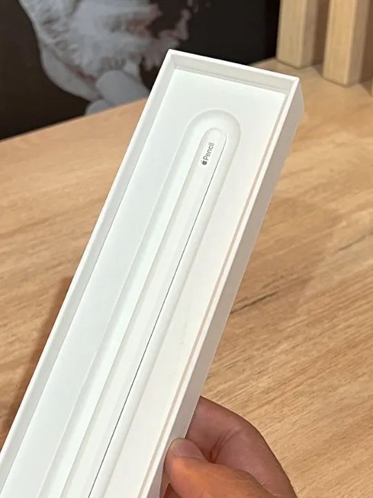 Apple Pencil 2 - 90 dias de garantia! Semi nova, perfeita! Até 12x no cartão!