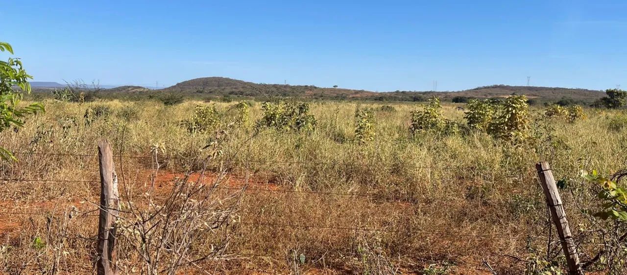 Area 240 Hecatres!! Escriturada e Geo Referenciada!!!Aceita veiculo e Imovel... - Foto 2