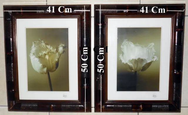Quadros com motivo Floral e moldura tamanho 3 x  41 x 50 Cm com vidro. - Foto 2