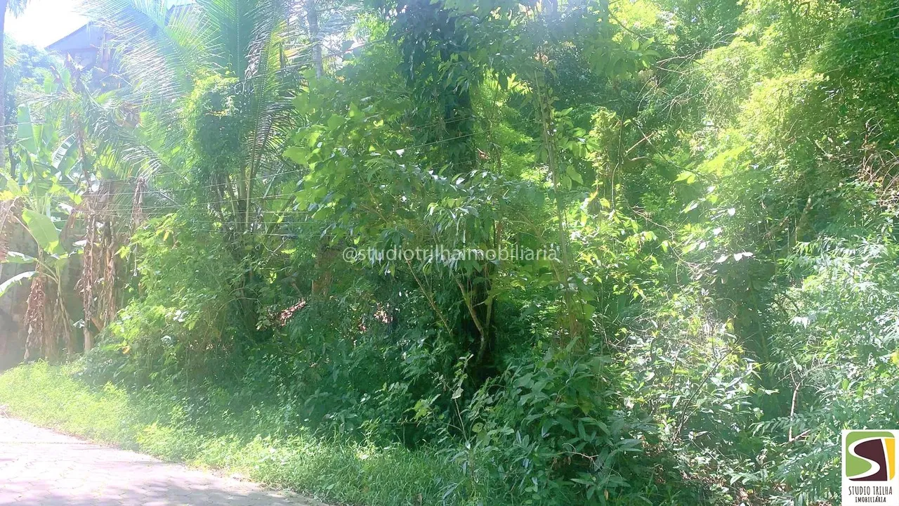 Vendo Terreno Escritura Definitiva Siriúba Ilhabela