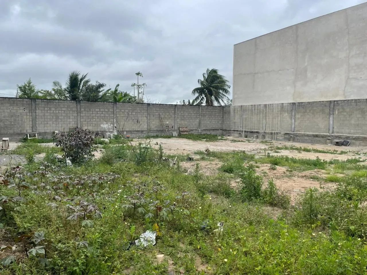 EXCELENTE TERRENO PARA ALUGUEL - ARTEMIA PIRES - Foto 4