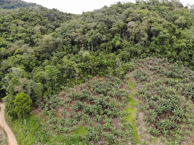 6,9 hectares  - Foto 3