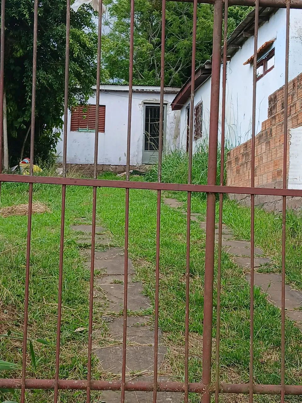 Foto - Viamão - Cecília