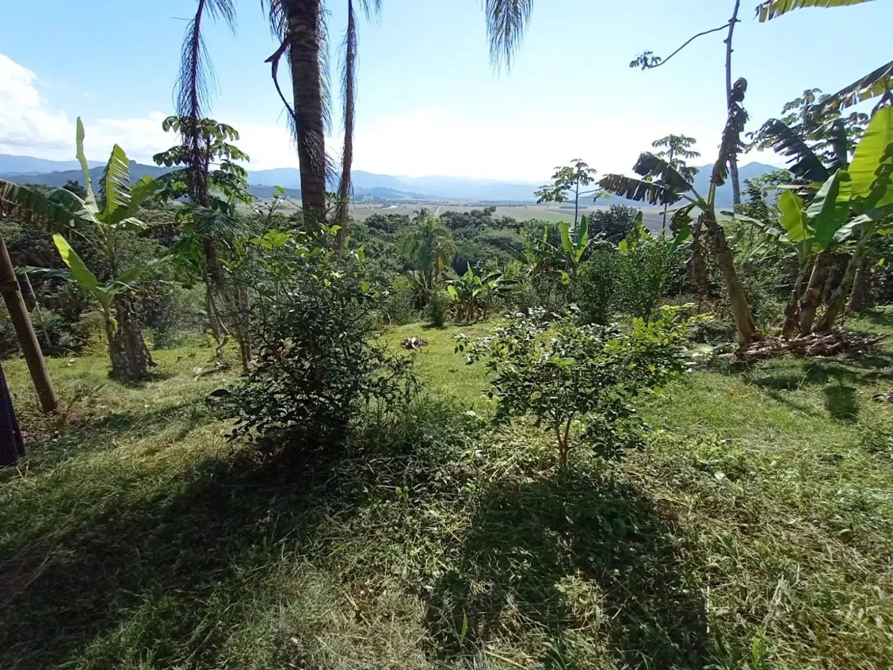ECO SÍTIO À VENDA COM 8.000 M² | SAMBAQUI | IMBITUBA - Foto 3