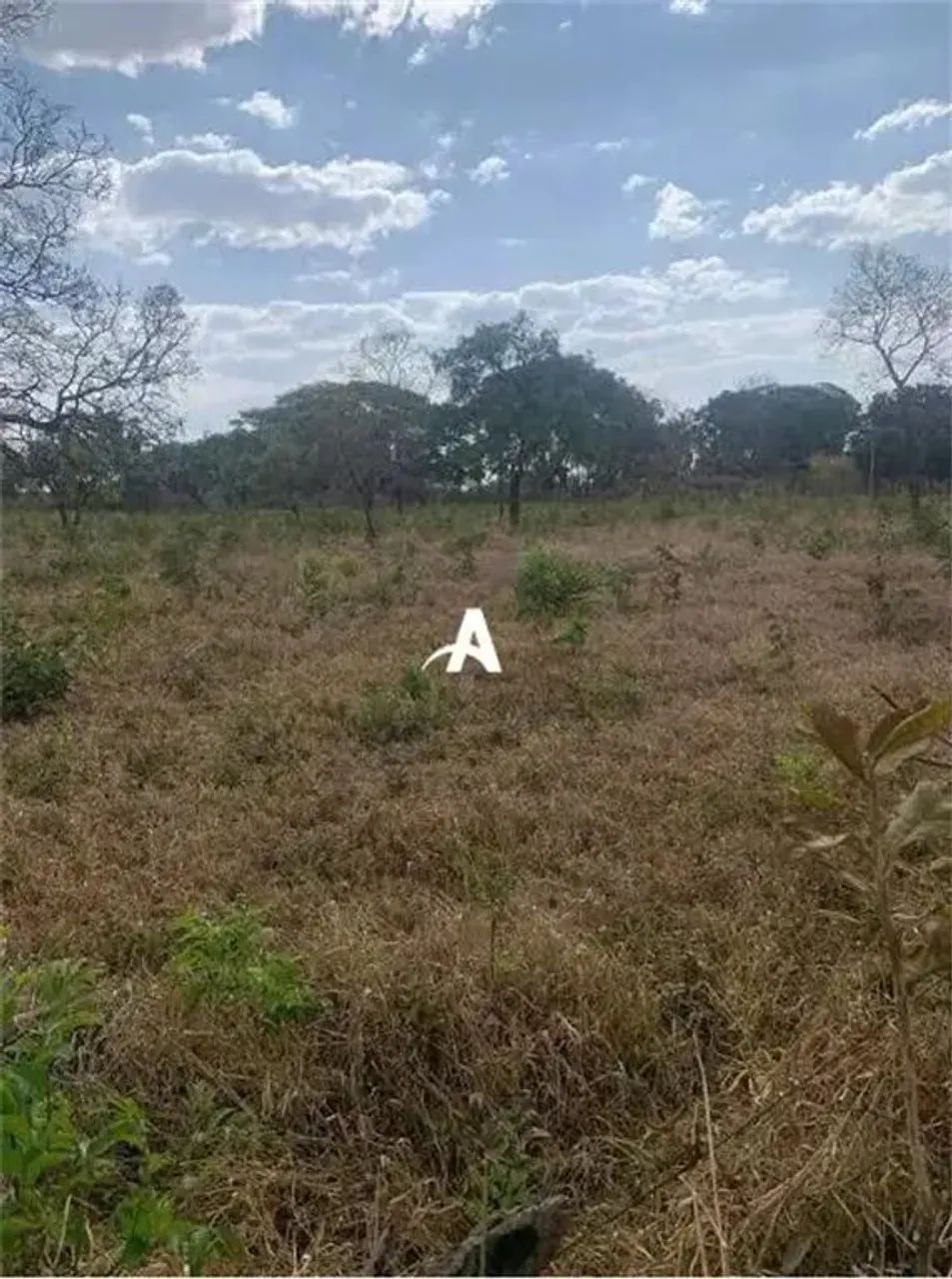 Área com 5.000m² à venda no Chácaras Bonanza - Foto 2