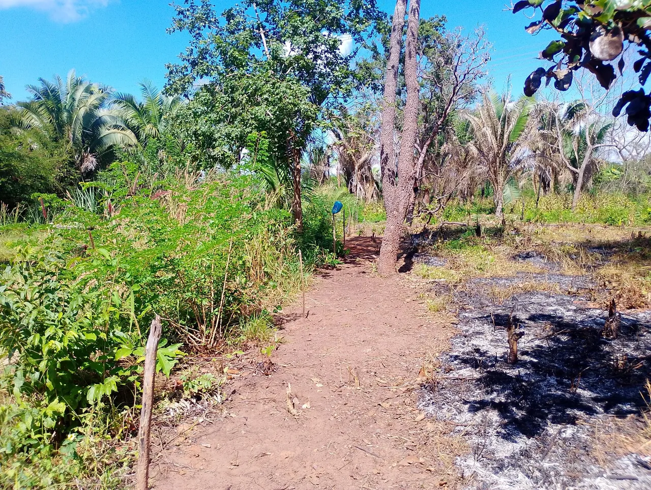 Vendo terreno no povoado jardim aurora próximo de timom