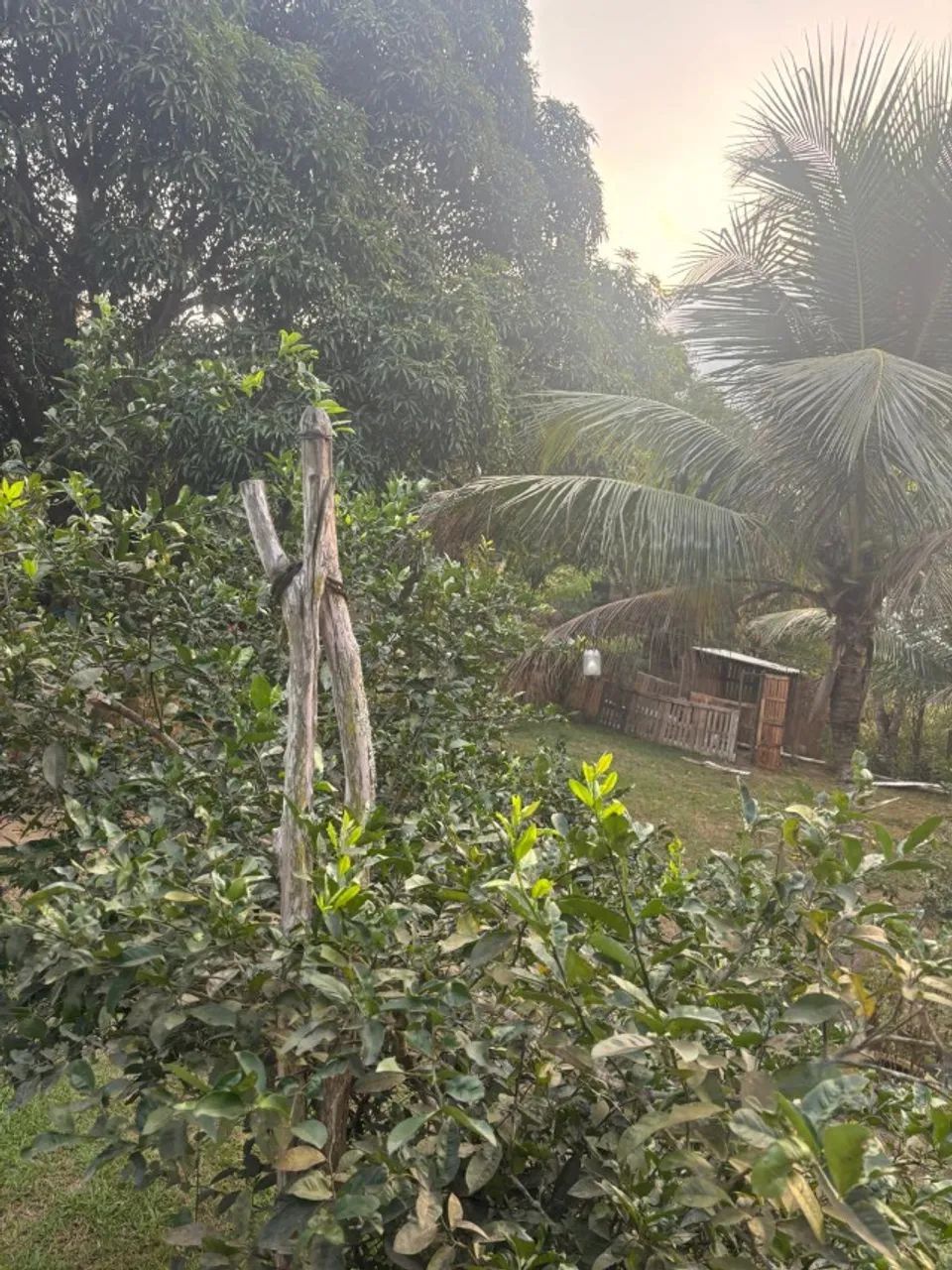 Chacara - Foto 11