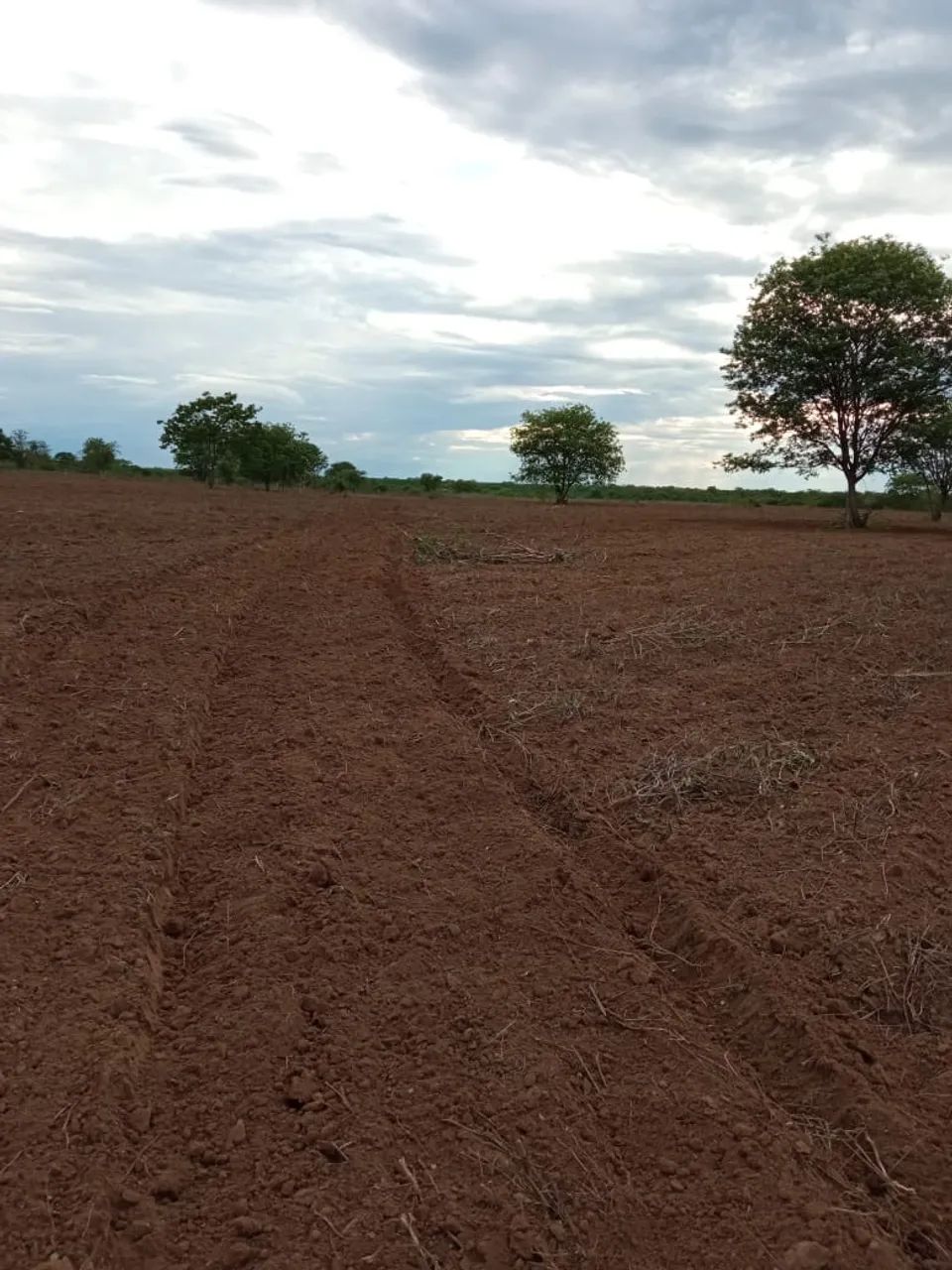 Terreno  - Foto 2