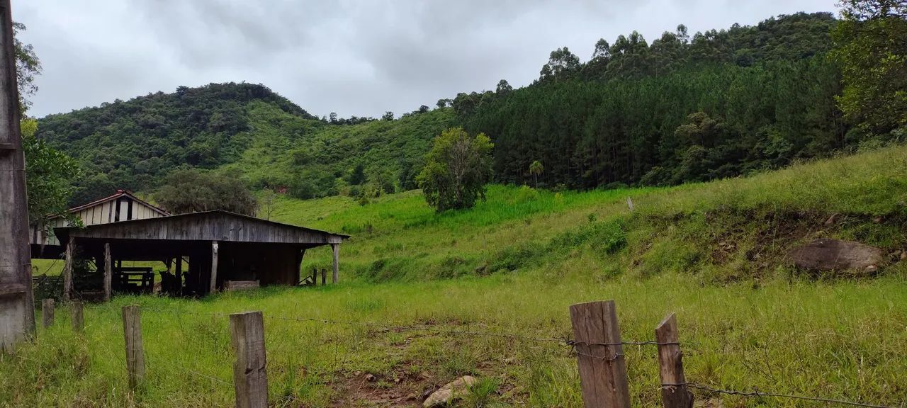 Chácara 20 hectares, valor 320,000,00 potreiro grande cercado  - Foto 4