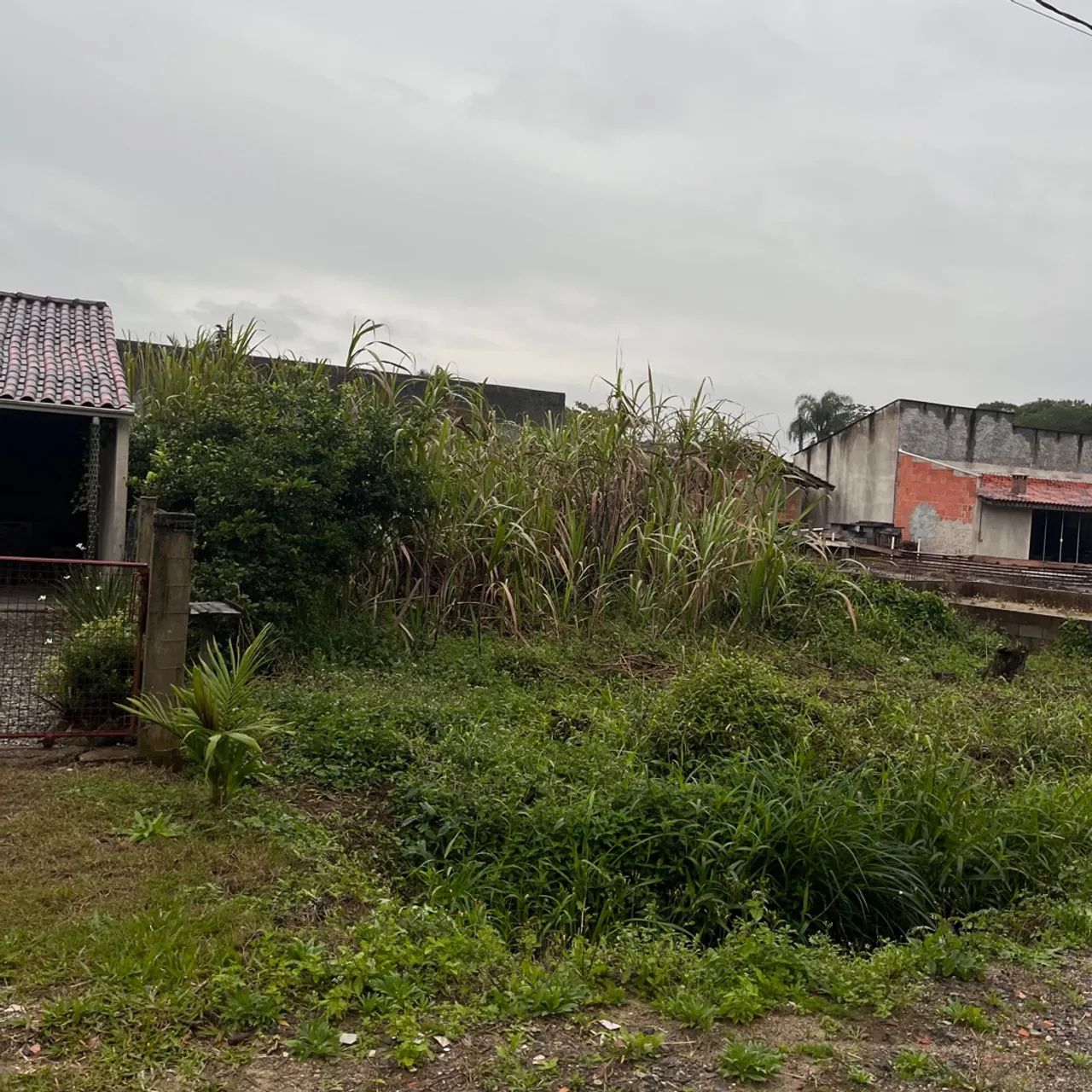 Terreno 350 mts da Lagoa - Foto 4