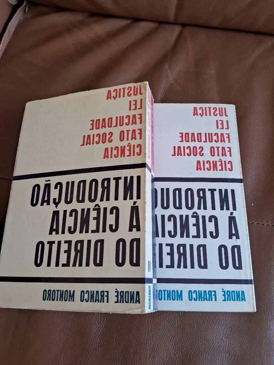 Livro Introdução a ciência do direito - Foto 4